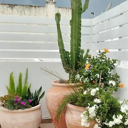 Casa Victoria 오양